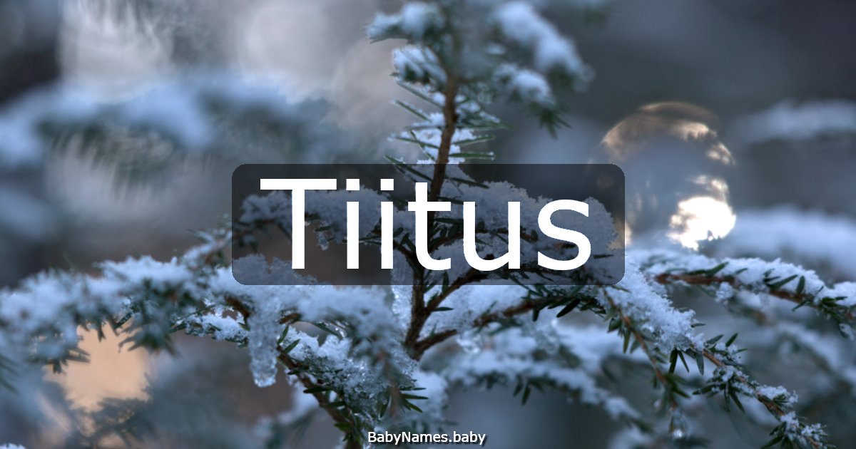 Tiitus