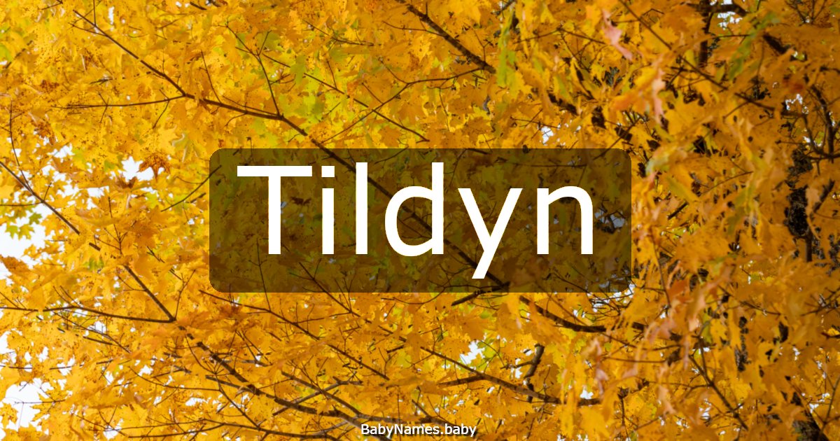 Tildyn