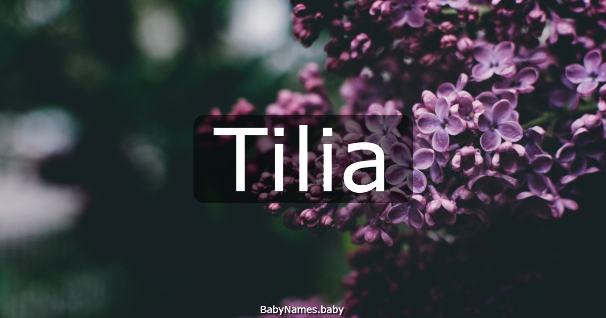 Tilia