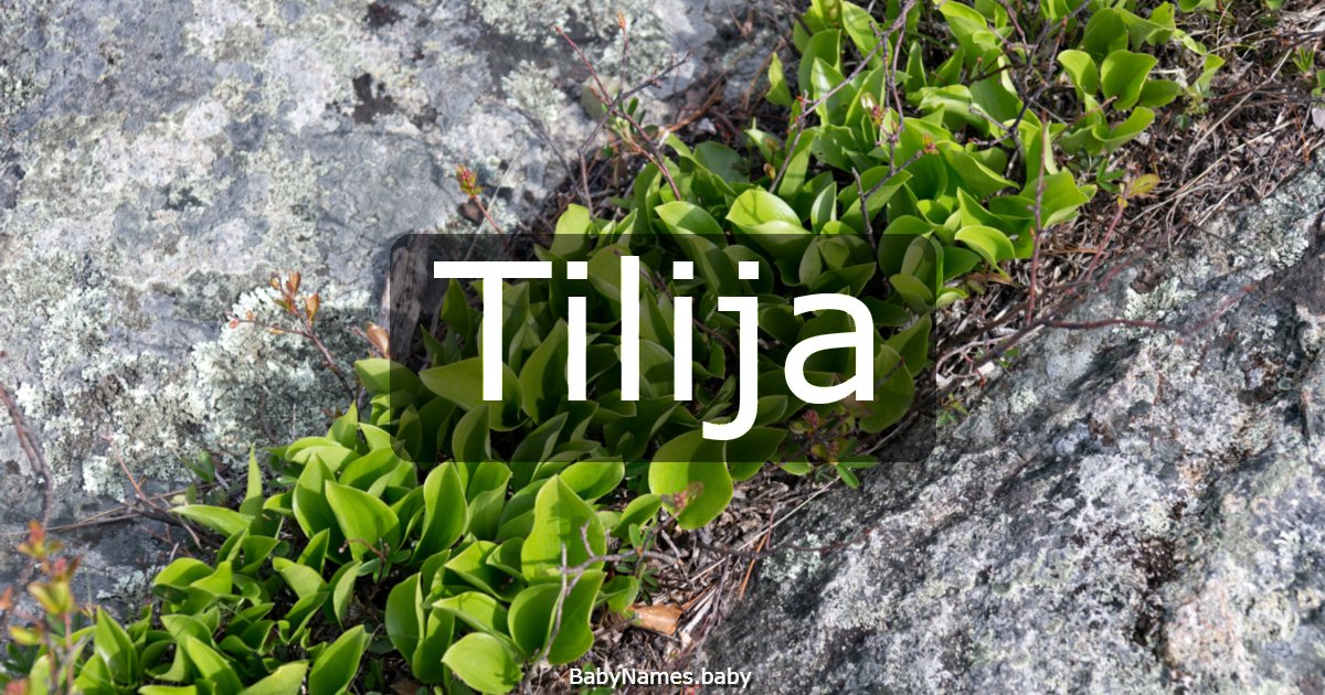 Tilija