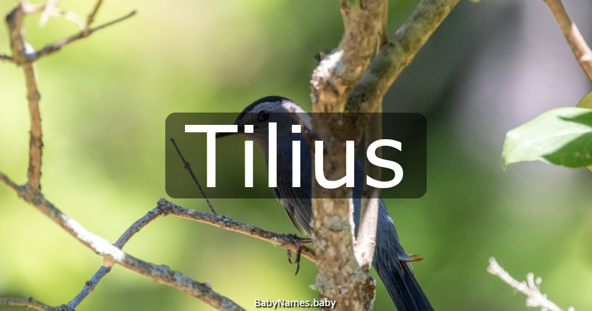 Tilius