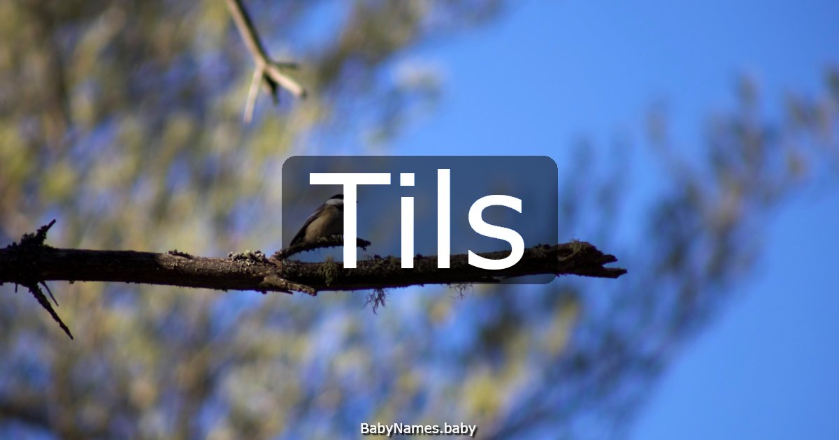 Tils