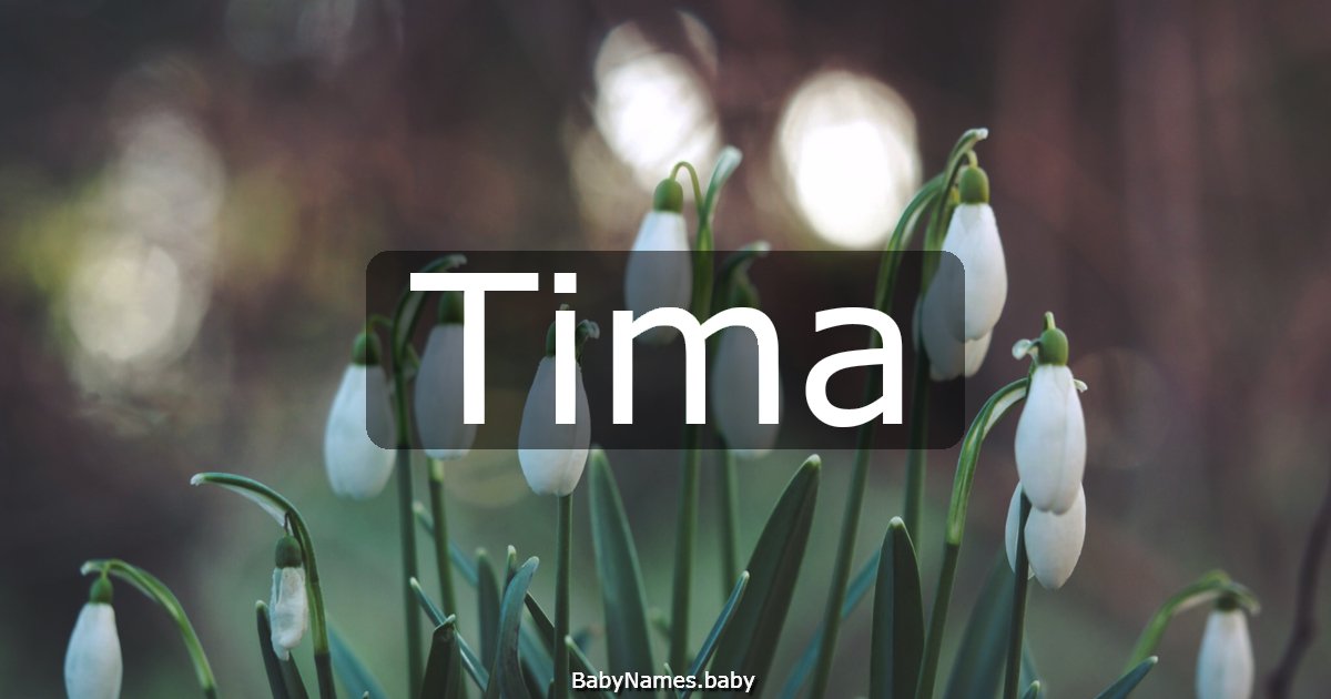 Tima