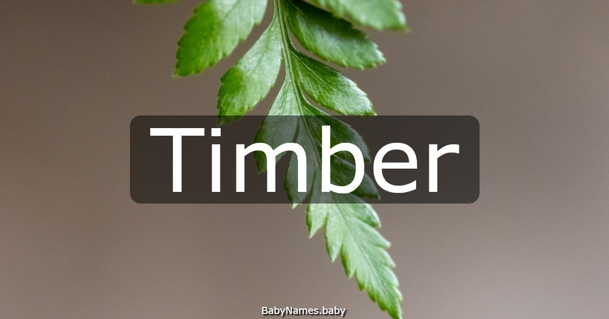 Timber