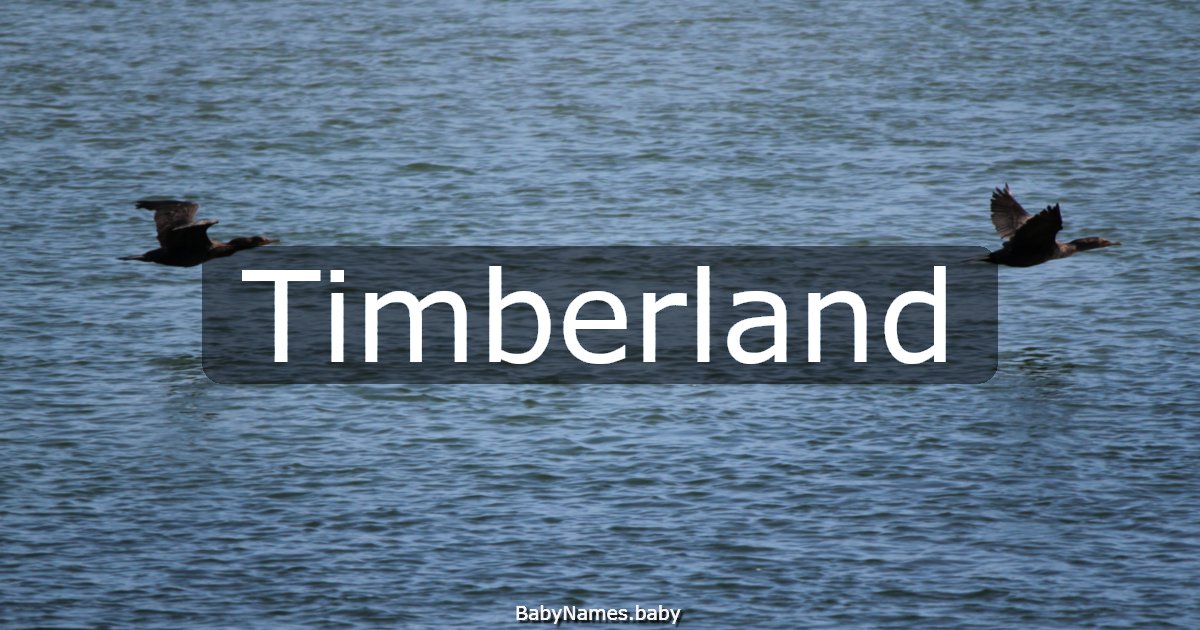 Timberland
