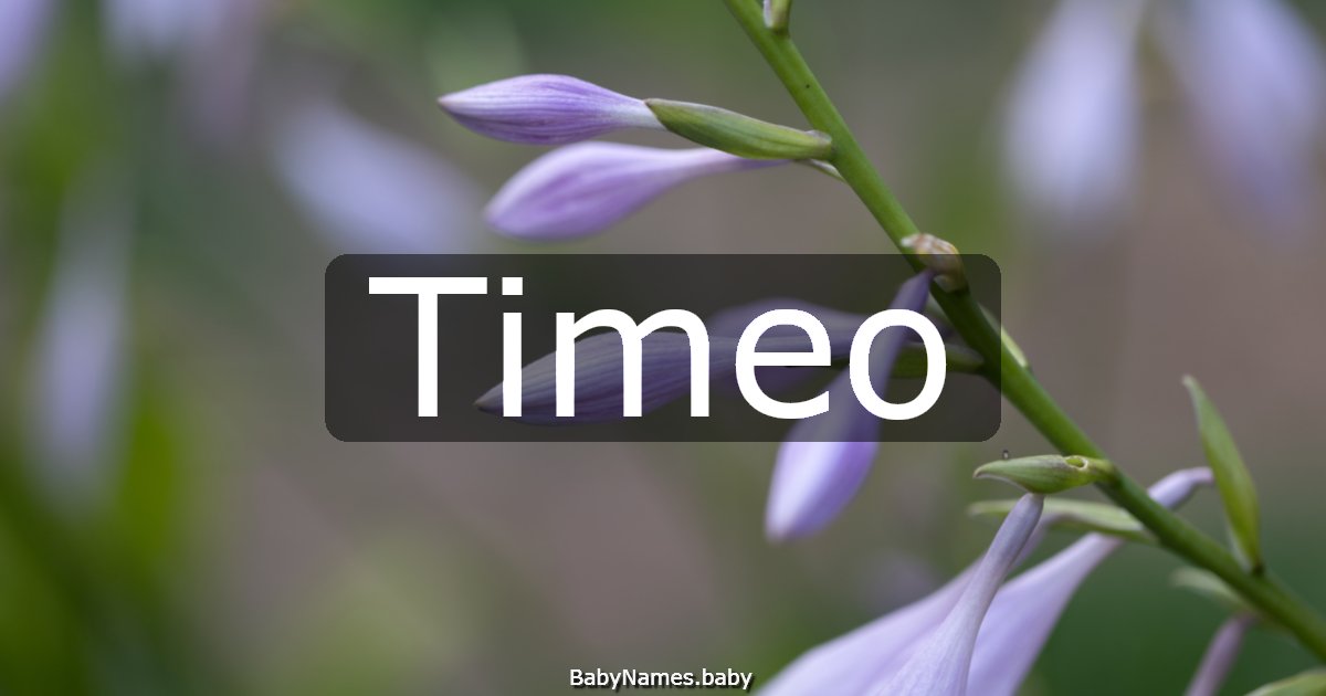 Timeo