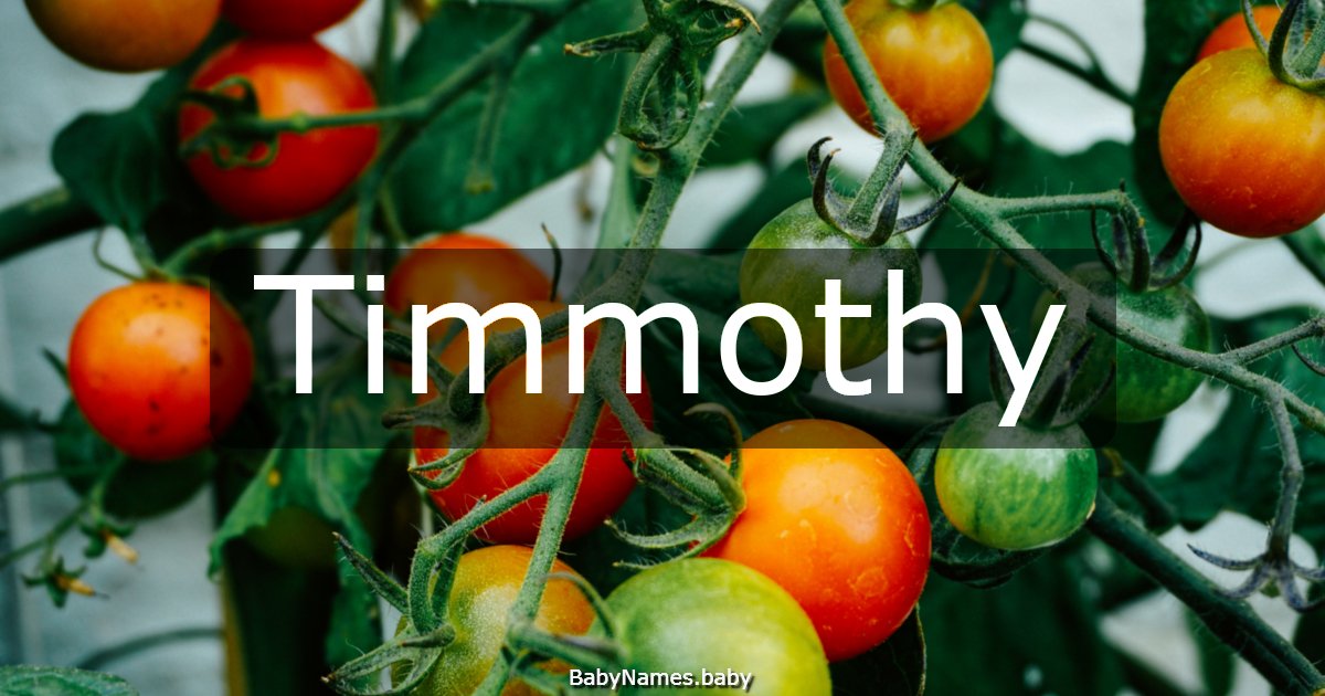 Timmothy