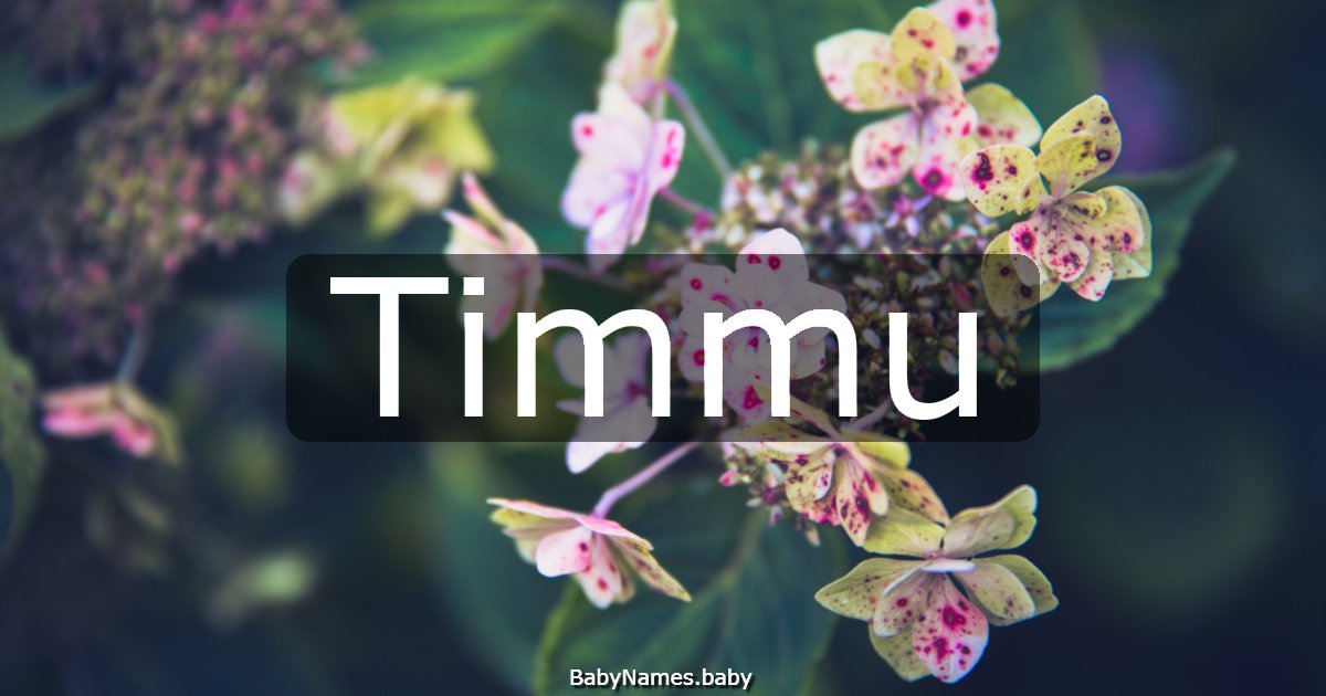 Timmu