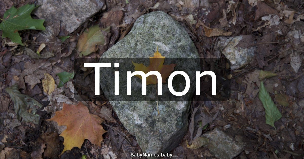Timon