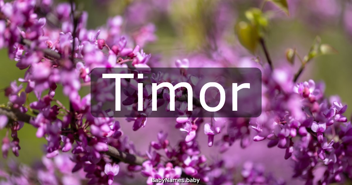 Timor