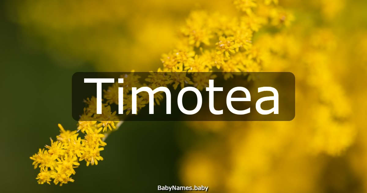 Timotea