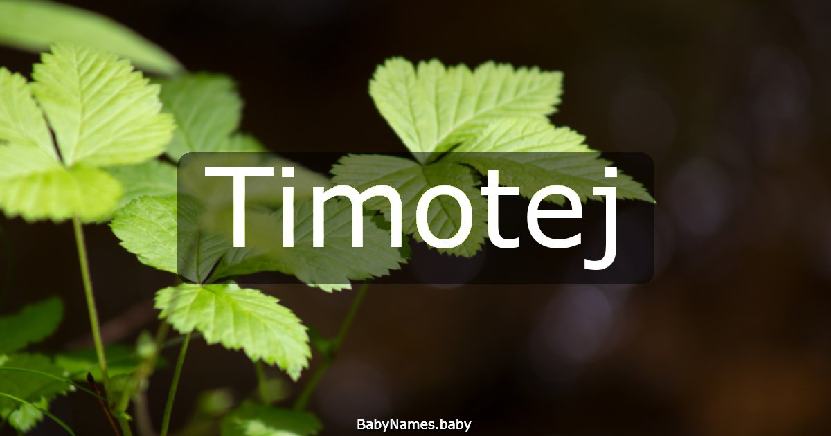Timotej