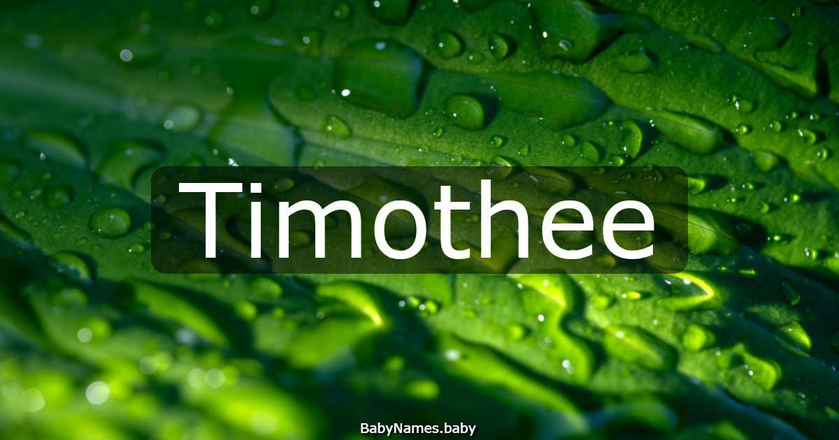 Timothee
