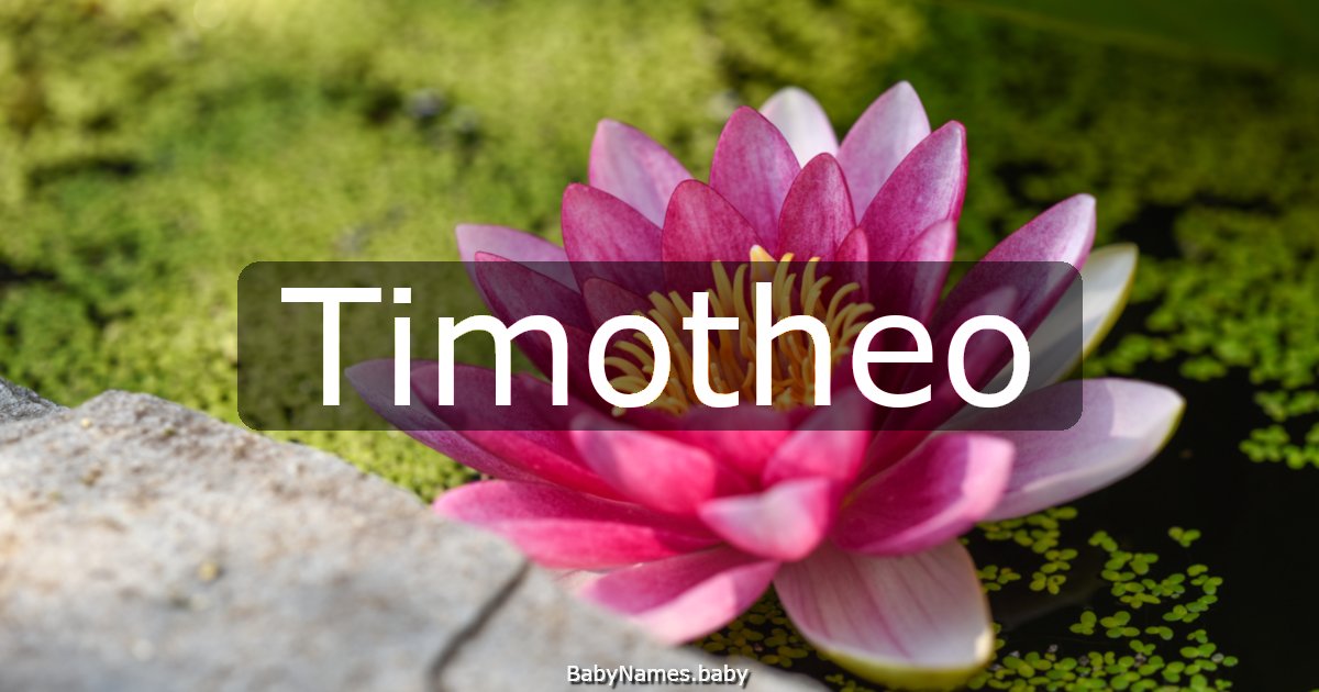 Timotheo