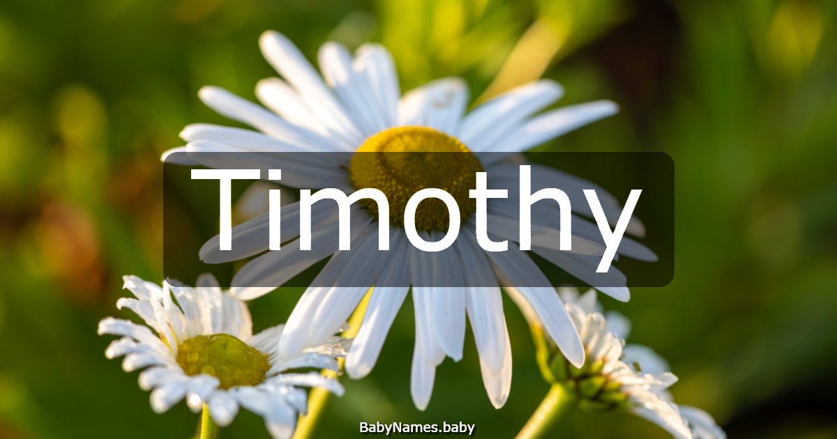 Timothy
