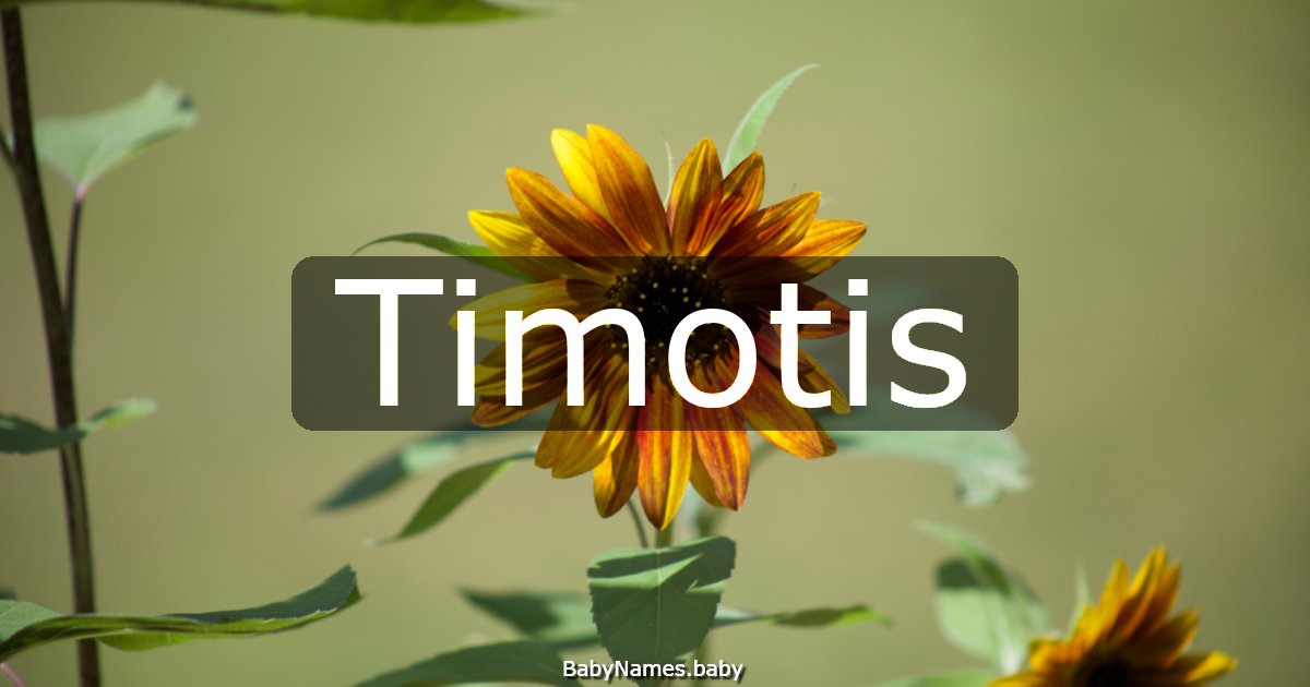 Timotis
