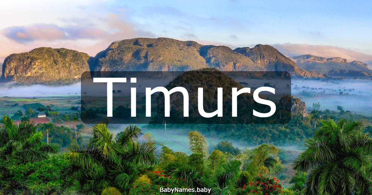 Timurs