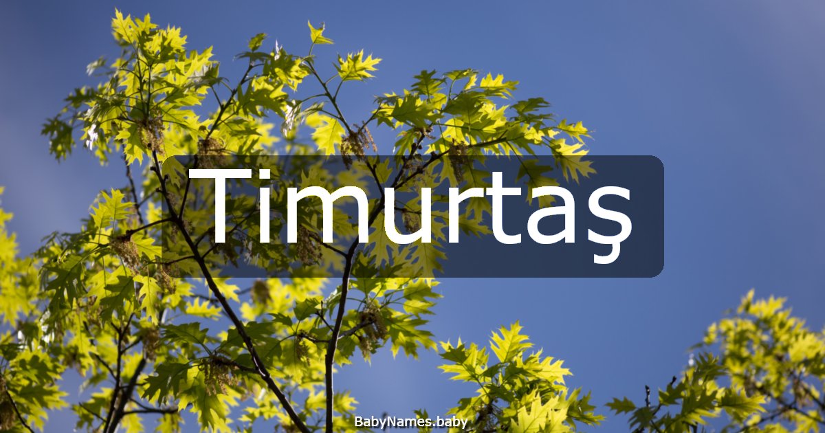 Timurtaş