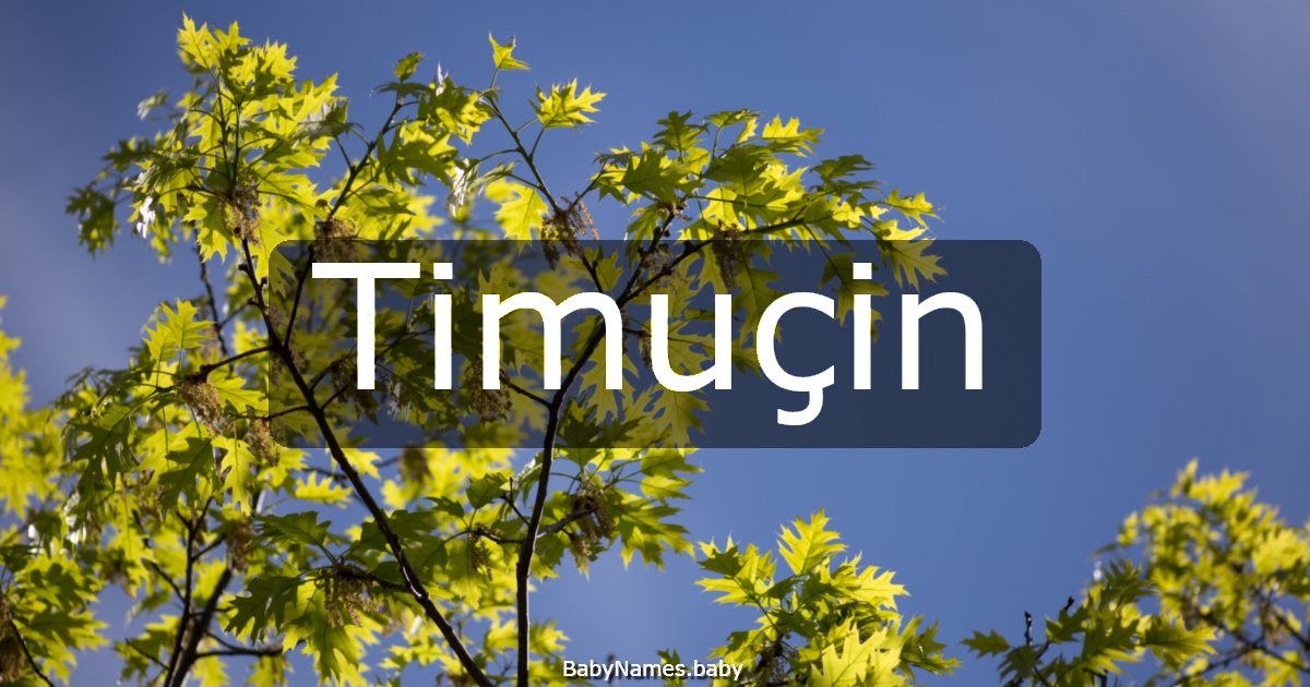 Timuçin