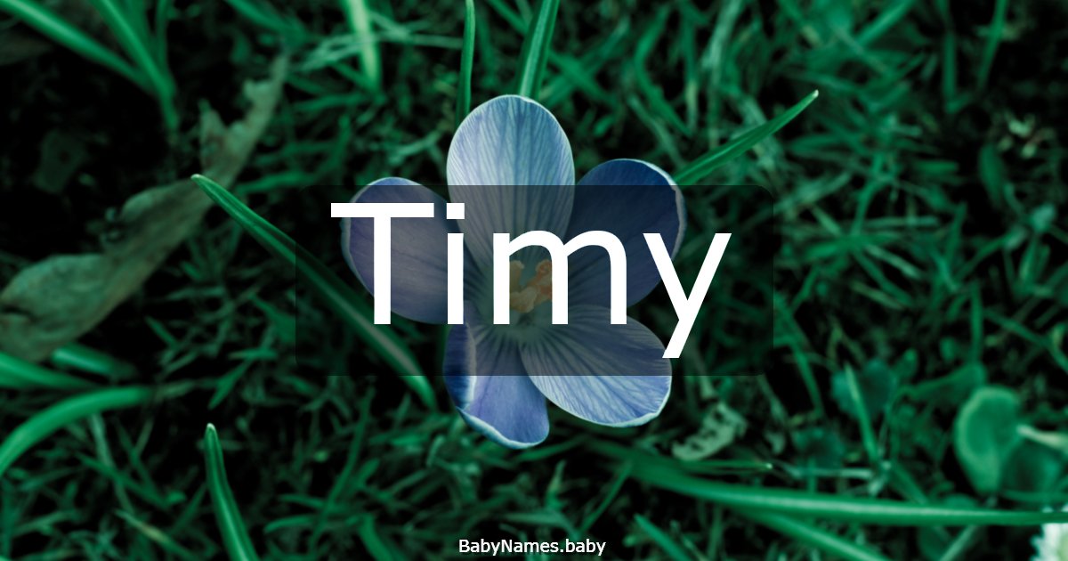 Timy