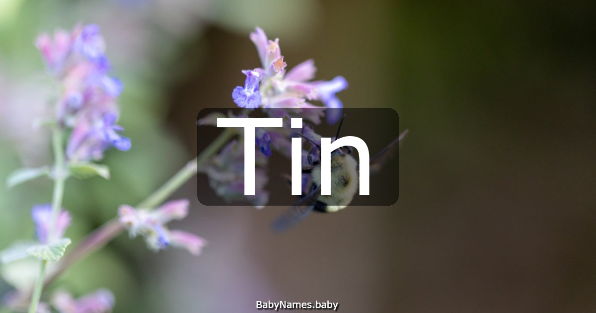 Tin