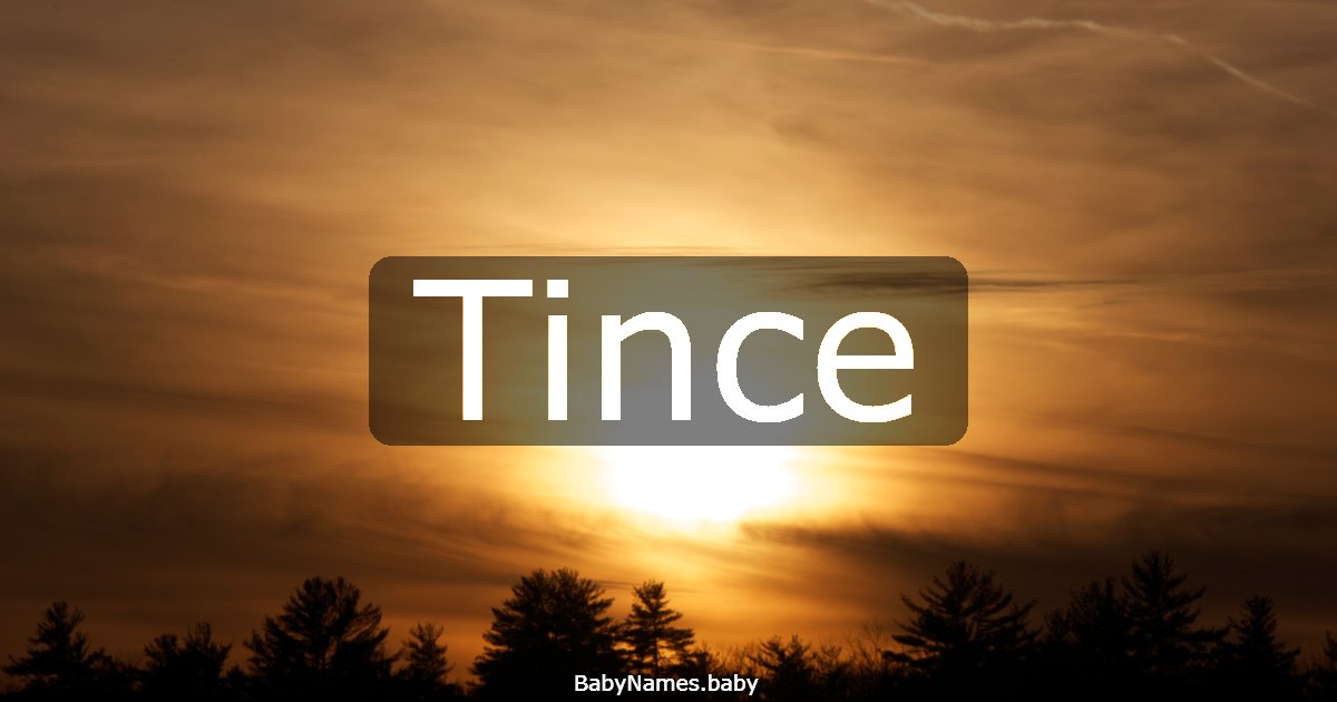 Tince