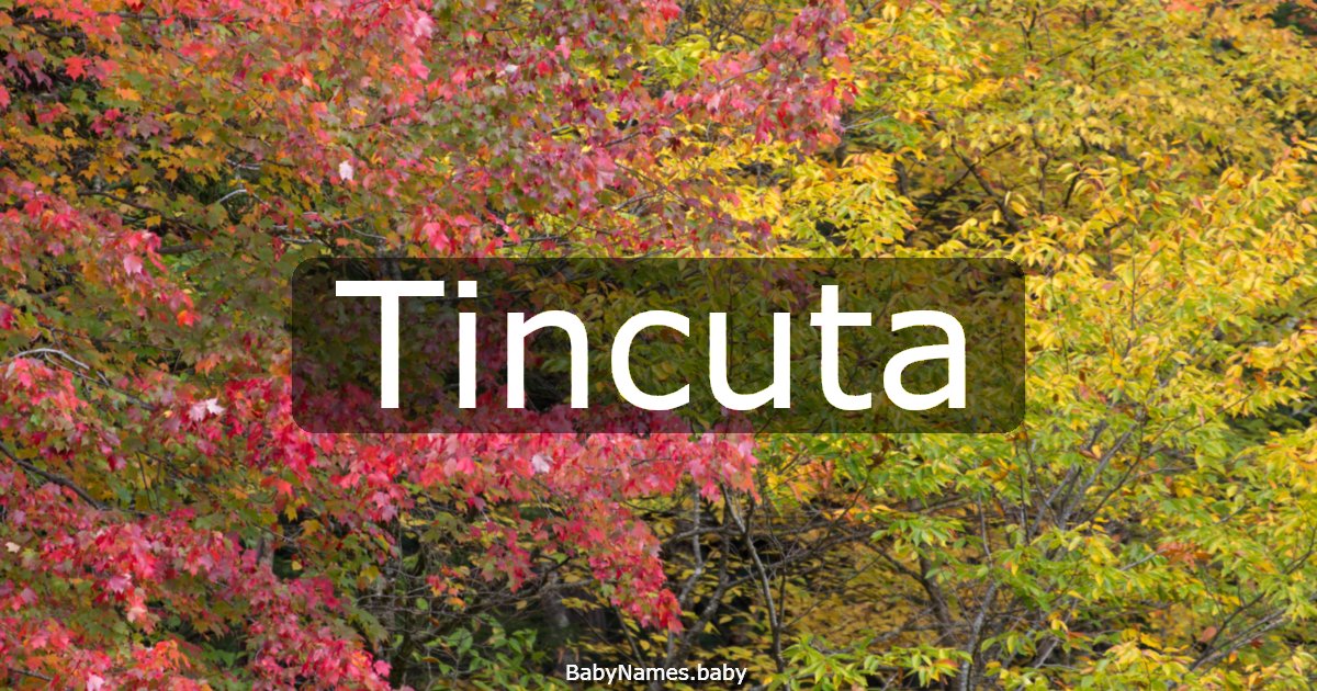 Tincuta