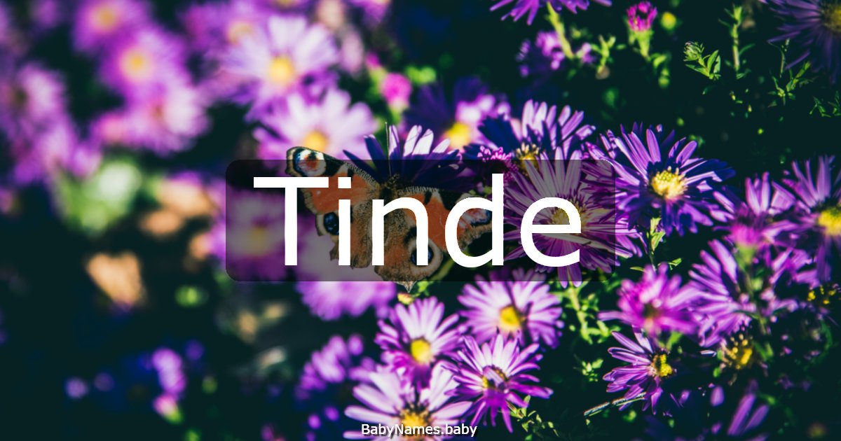Tinde