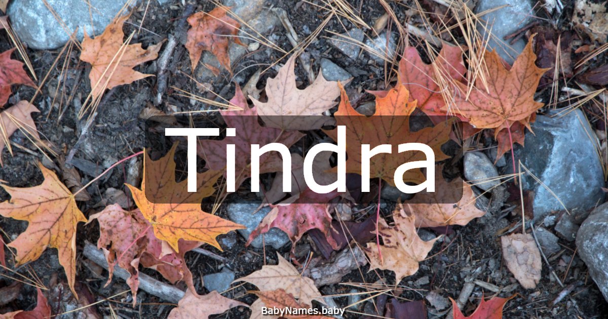Tindra