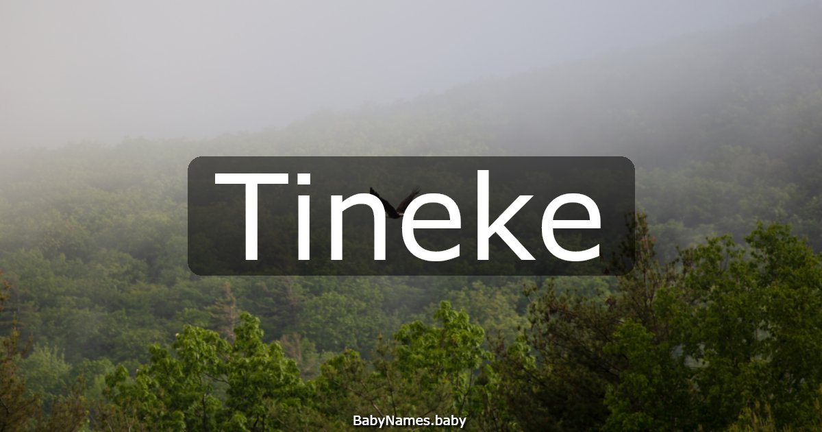 Tineke