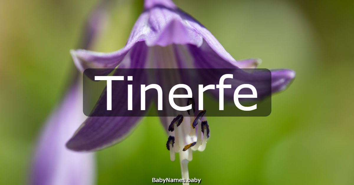 Tinerfe