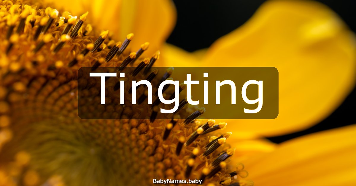 Tingting