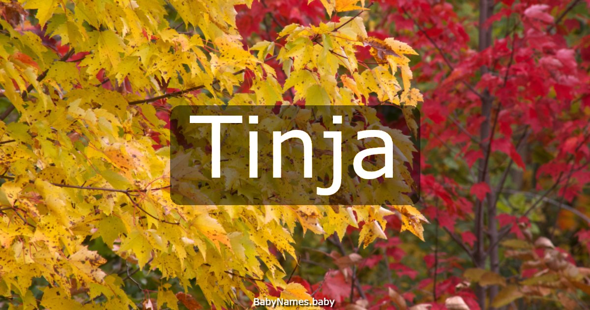Tinja