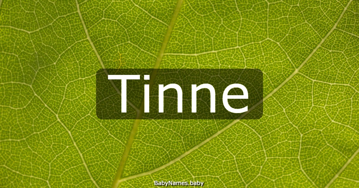 Tinne