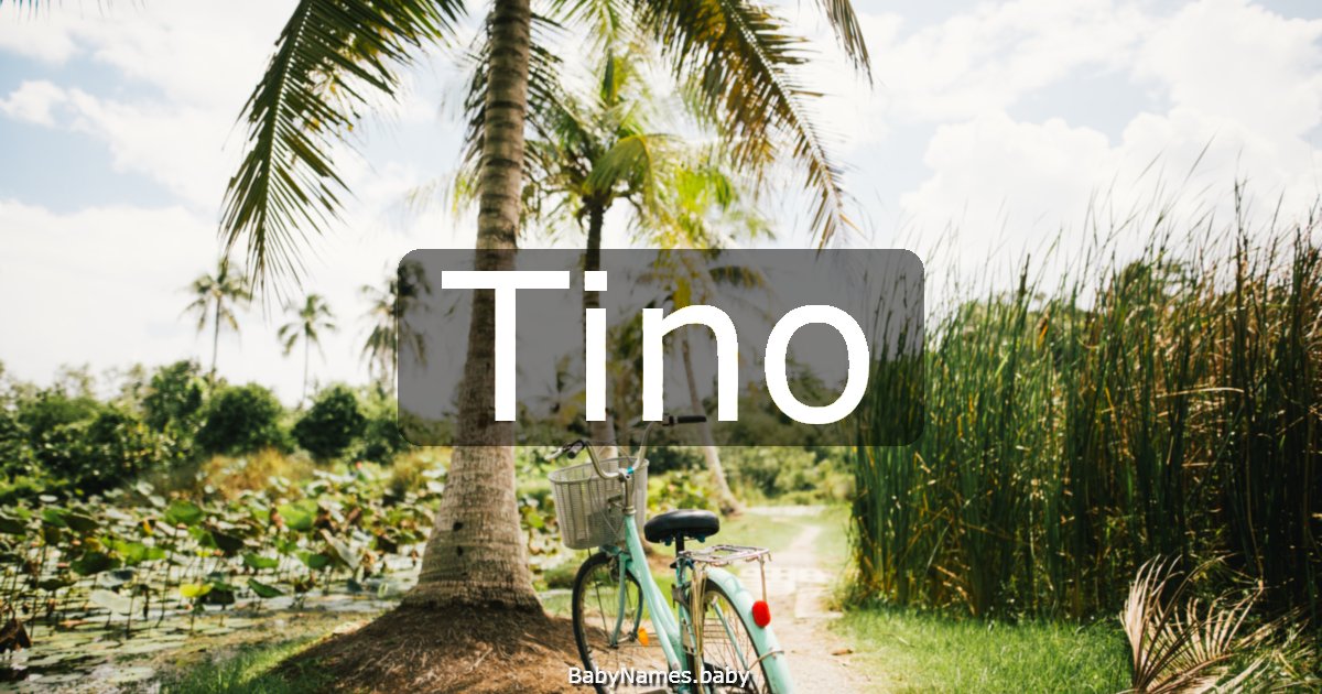 Tino