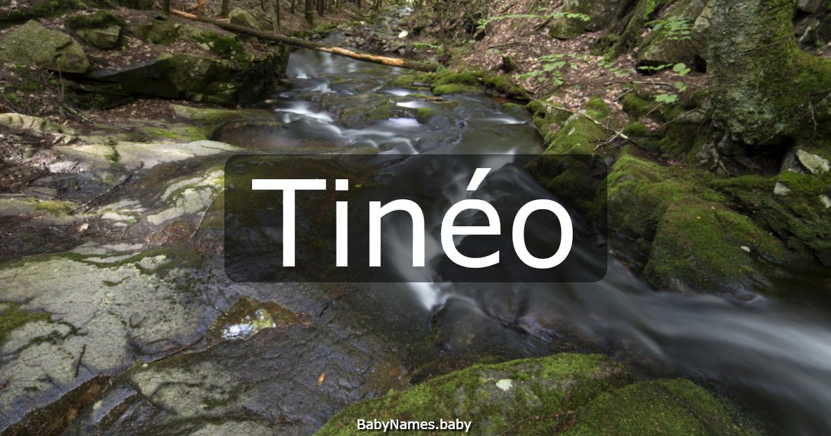 Tinéo