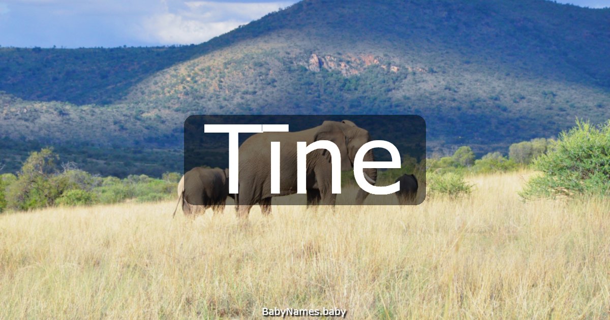 Tīne