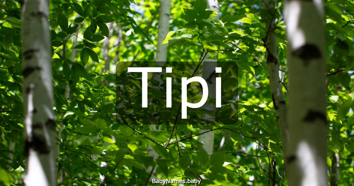 Tipi