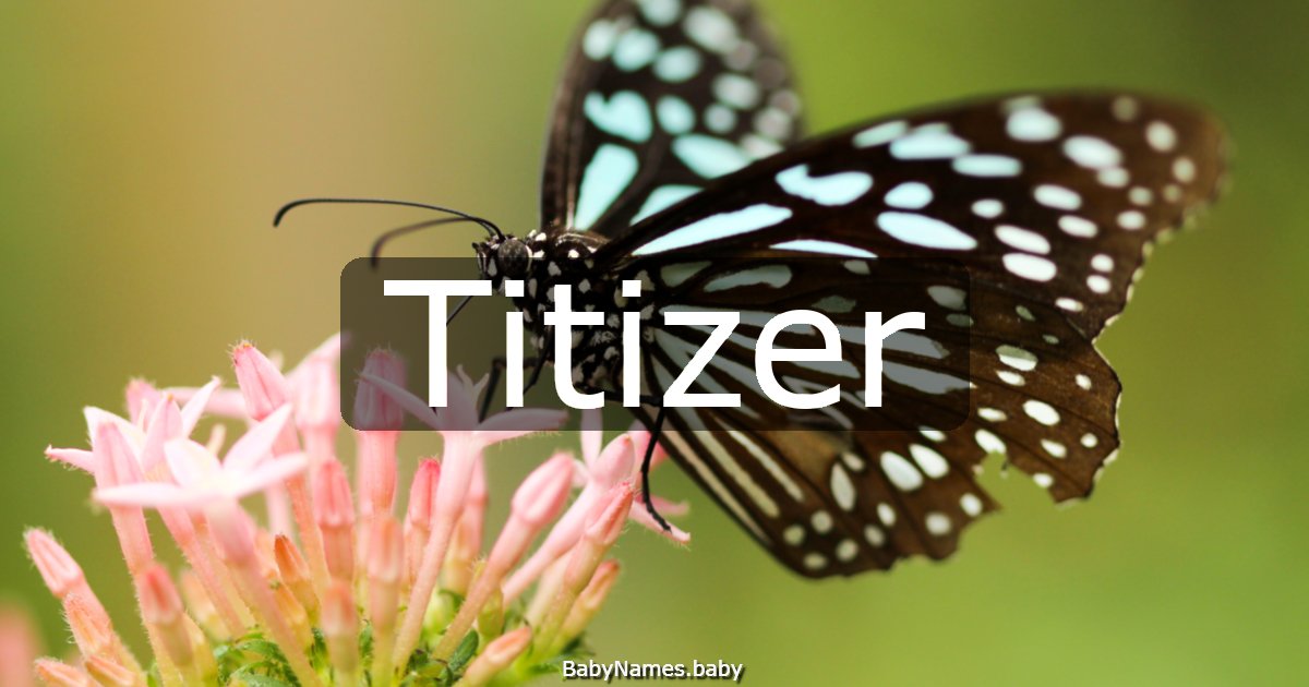 Titizer