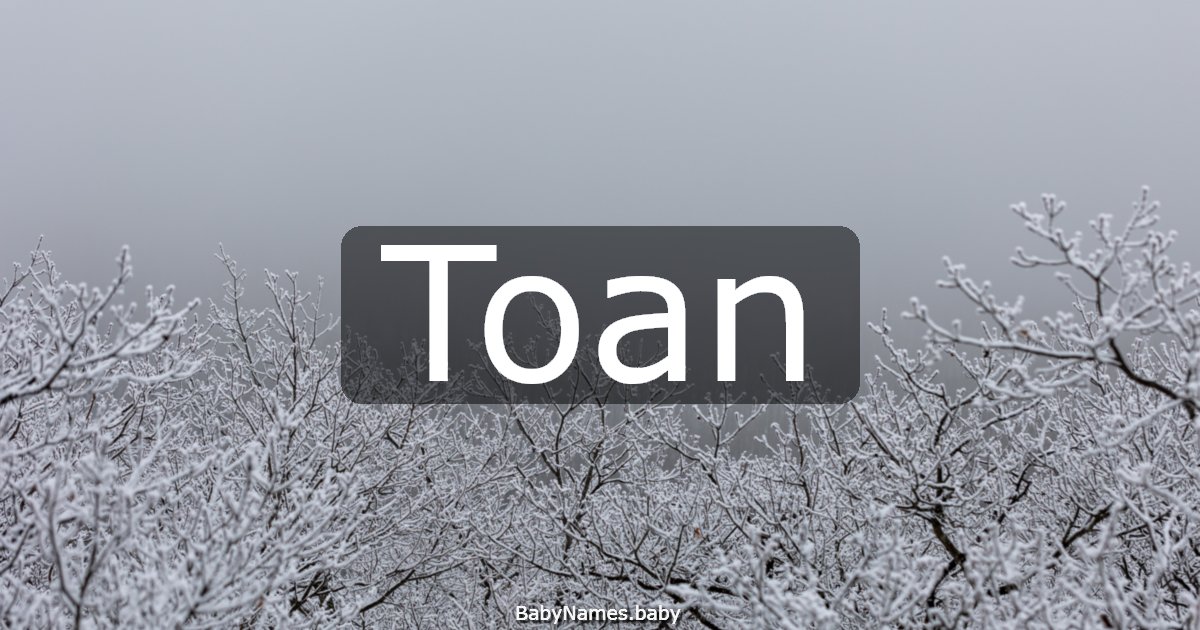 Toan