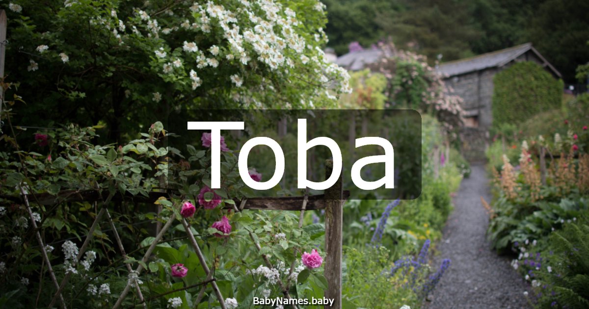 Toba