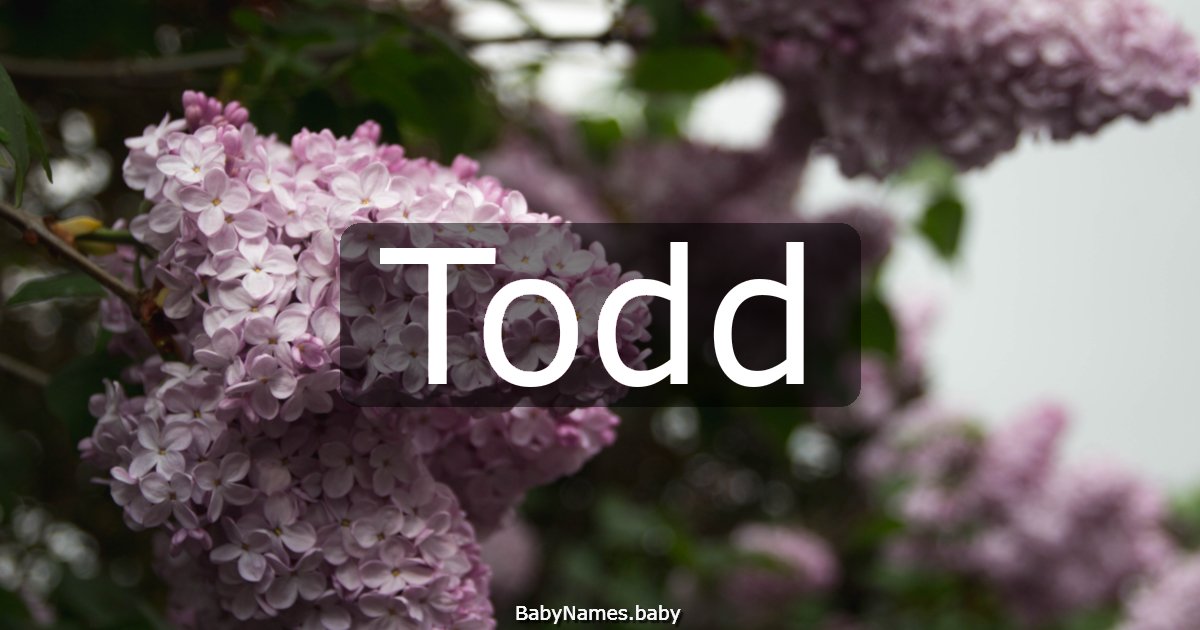 Todd