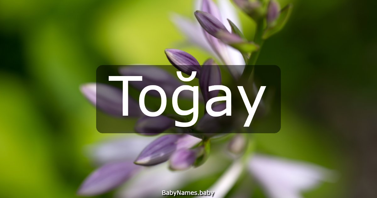 Toğay