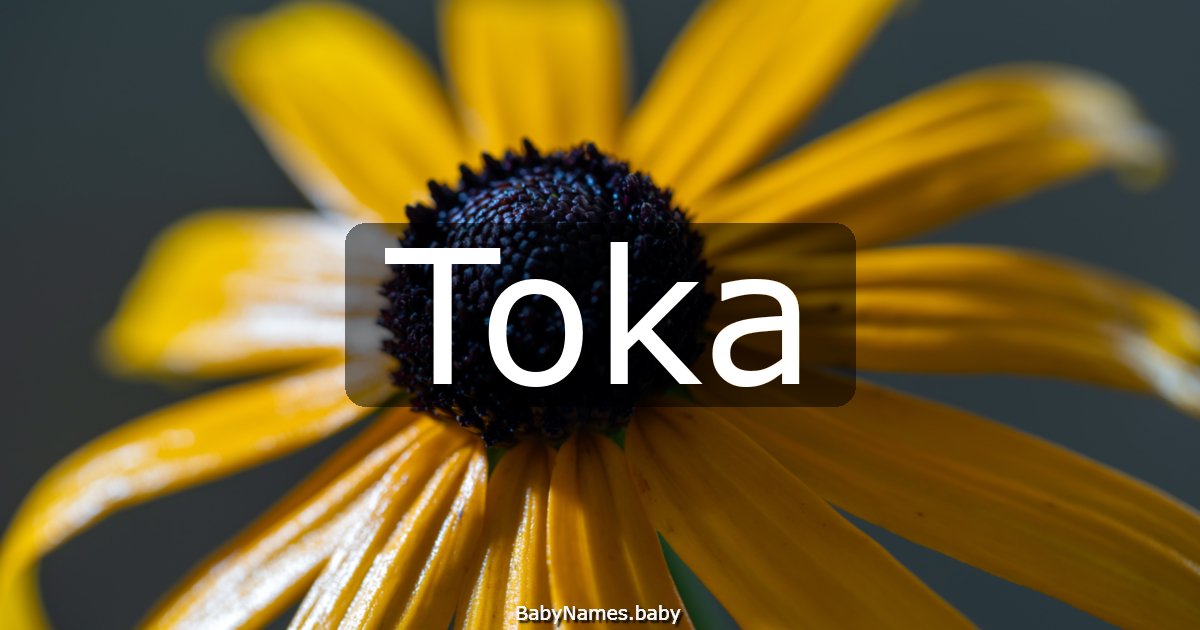 Toka