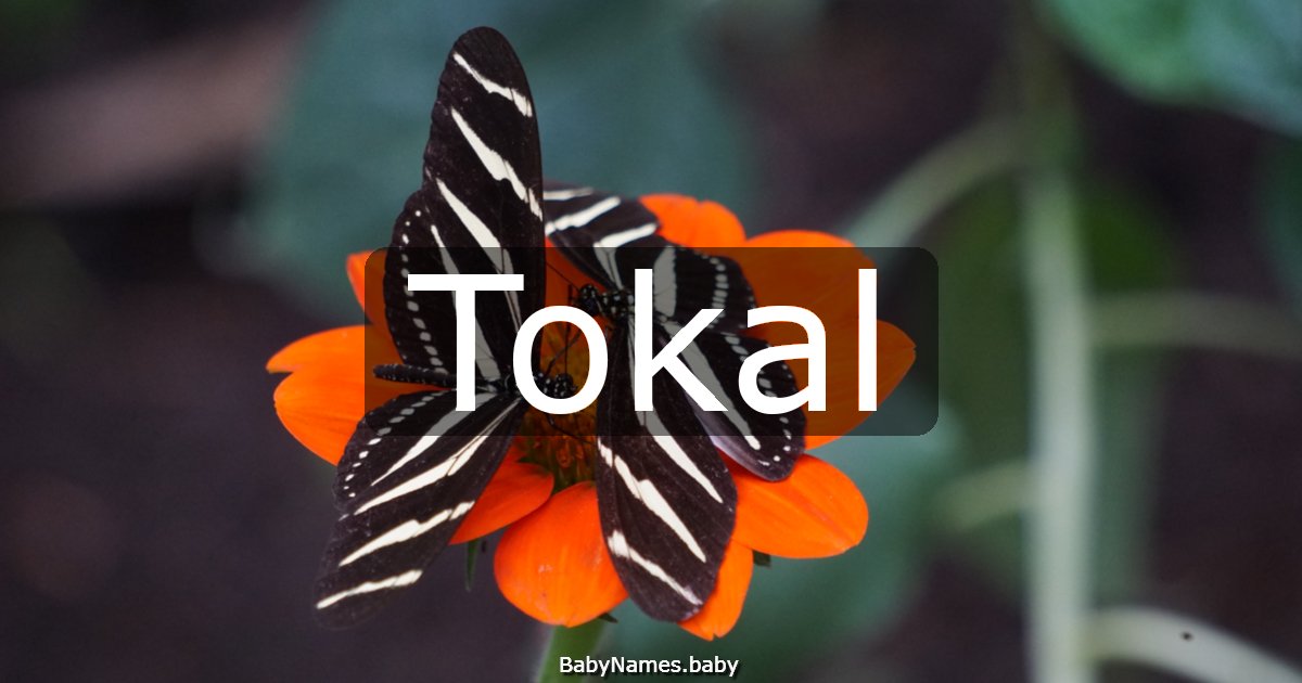 Tokal