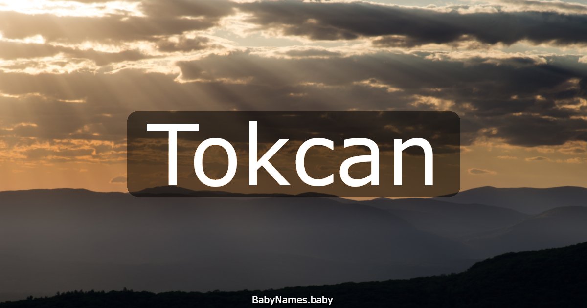 Tokcan