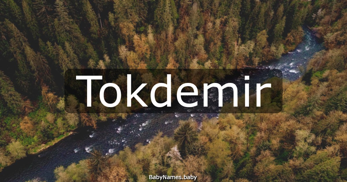 Tokdemir