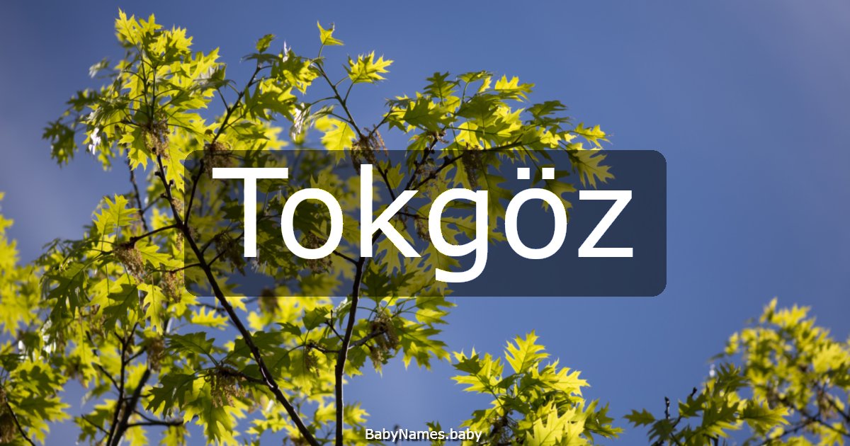 Tokgöz