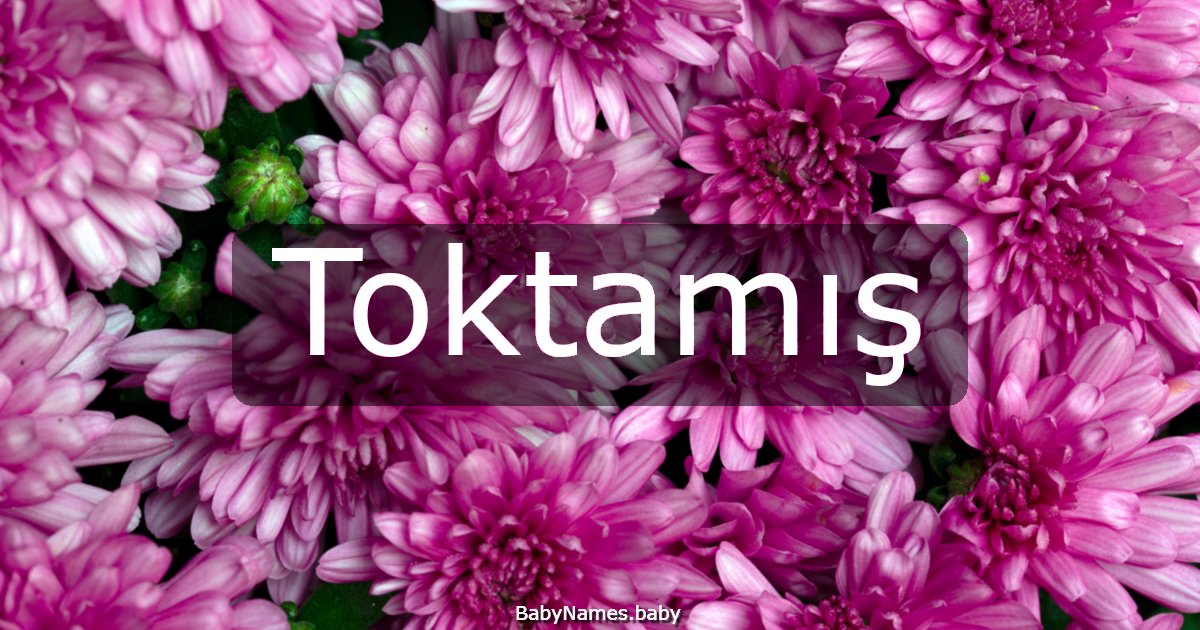 Toktamış