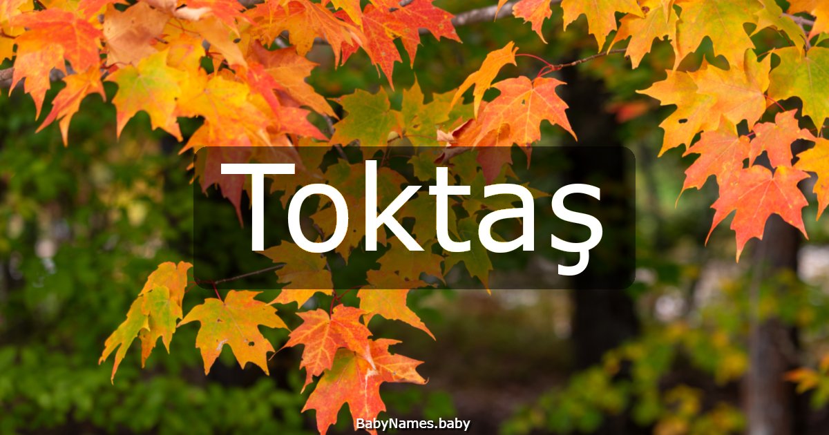 Toktaş